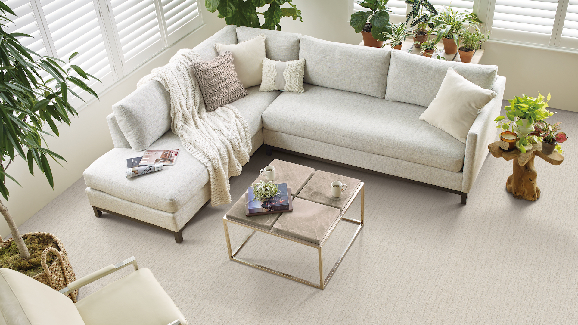 textured off white carpets in a bright monochromatic living room with beautiful greenery